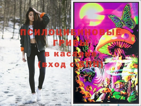 apvp Алексеевка
