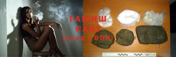 СК Алексин