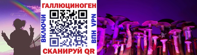 кракен зеркало  Нижний Новгород  Псилоцибиновые грибы GOLDEN TEACHER 