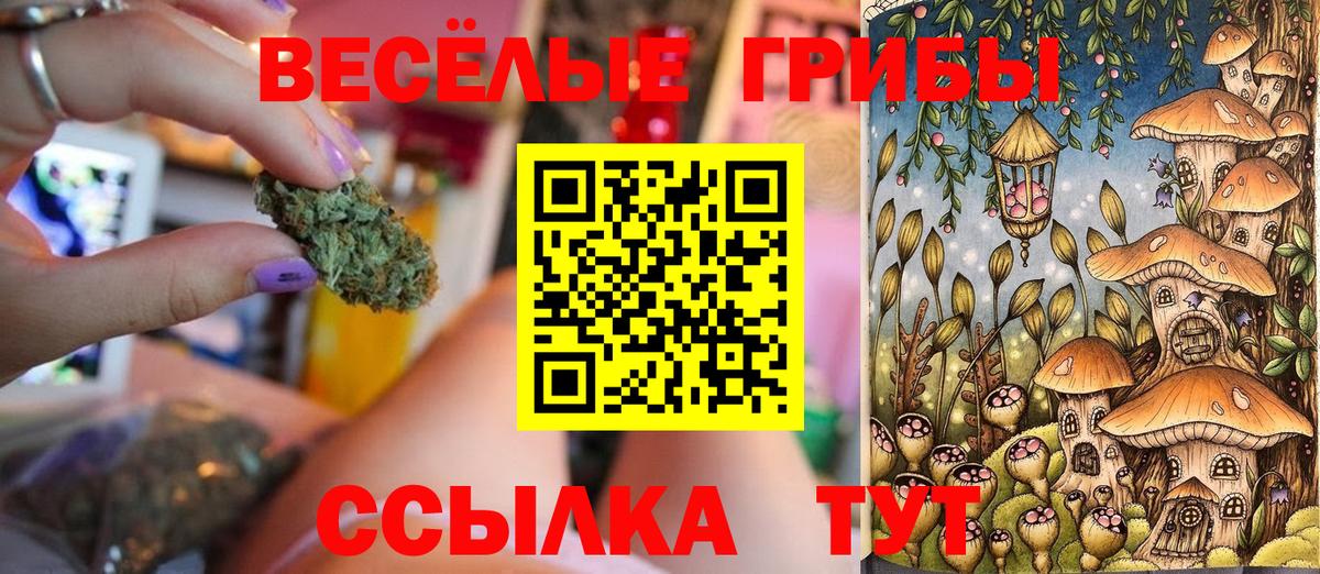 Галлюциногенные грибы GOLDEN TEACHER  Вход с VPN  Нижний Новгород 
