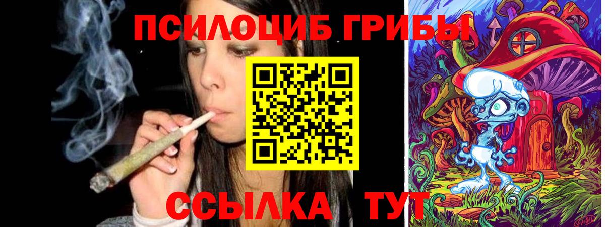Галлюциногенные грибы прущие грибы Нижний Новгород